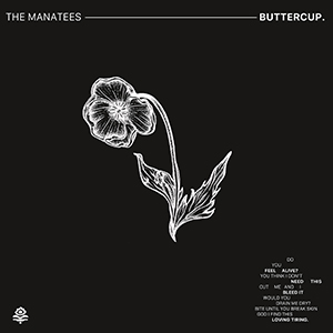 Buttercup - The Manatees
